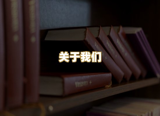关于我们